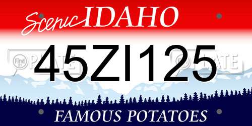 45ZI125 Idaho License Plate