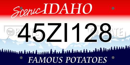 45ZI128 Idaho License Plate
