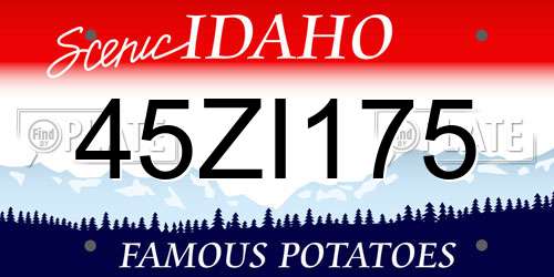 45ZI175 Idaho License Plate