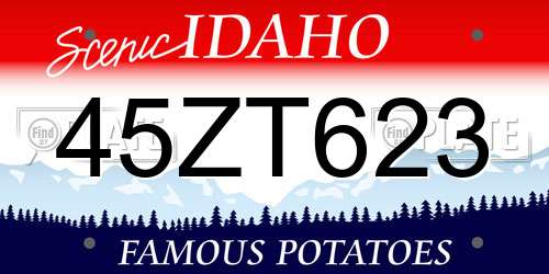 45ZT623 Idaho License Plate