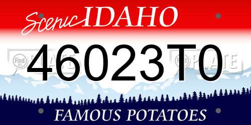 46023T0 Idaho License Plate