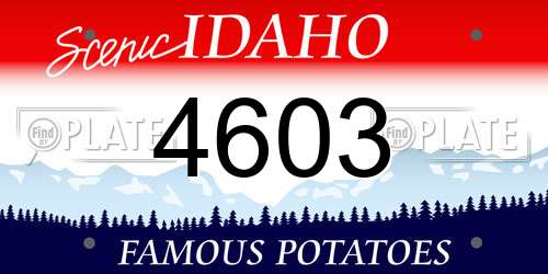4603 Idaho License Plate