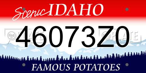 46073Z0 Idaho License Plate