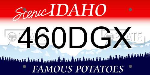 460DGX Idaho License Plate
