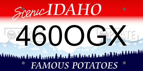 460OGX Idaho License Plate