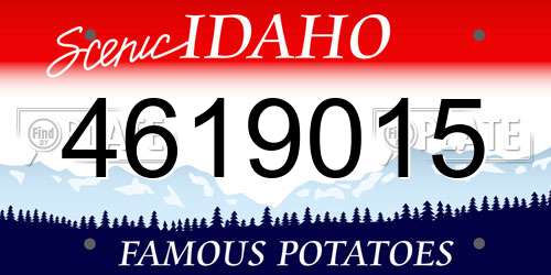 4619015 Idaho License Plate