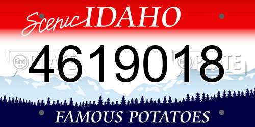 4619018 Idaho License Plate