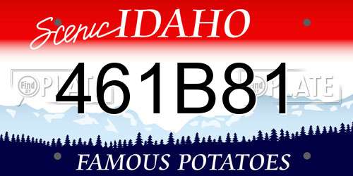 461B81 Idaho License Plate
