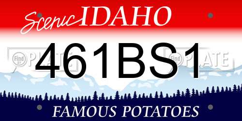 461BS1 Idaho License Plate
