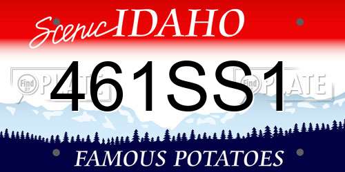 461SS1 Idaho License Plate