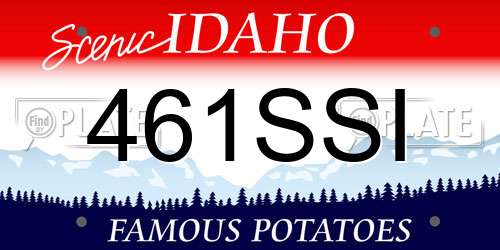 461SSI Idaho License Plate