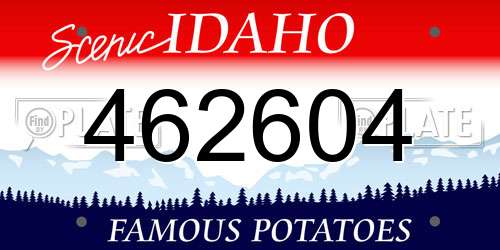 462604 Idaho License Plate