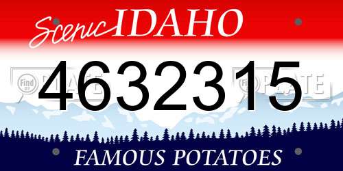 4632315 Idaho License Plate