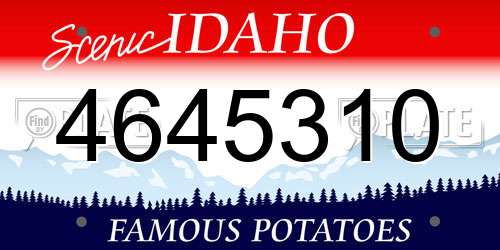 4645310 Idaho License Plate