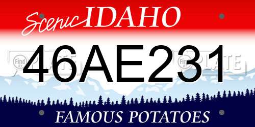 46AE231 Idaho License Plate