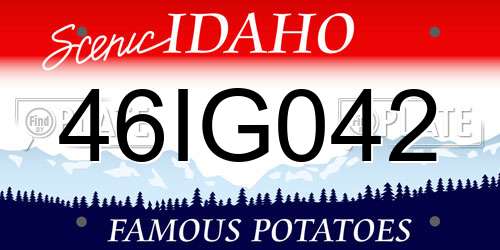 46IG042 Idaho License Plate