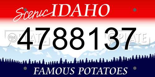4788137 Idaho License Plate