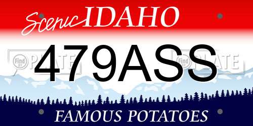 479ASS Idaho License Plate