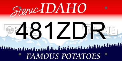 481ZDR Idaho License Plate