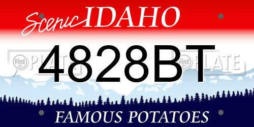 4828BT Idaho License Plate