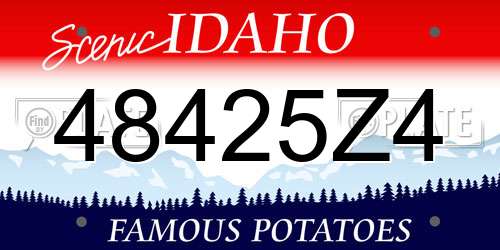 48425Z4 Idaho License Plate