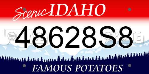 48628S8 Idaho License Plate