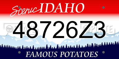 48726Z3 Idaho License Plate