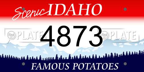 4873 Idaho License Plate