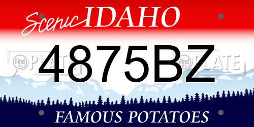 4875BZ Idaho License Plate