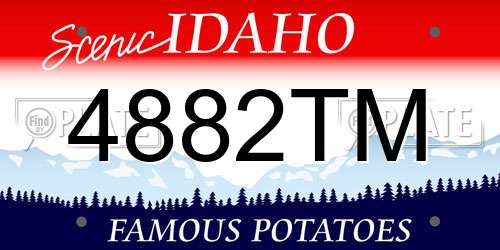 4882TM Idaho License Plate