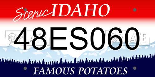48ES060 Idaho License Plate