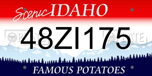 48ZI175 Idaho License Plate