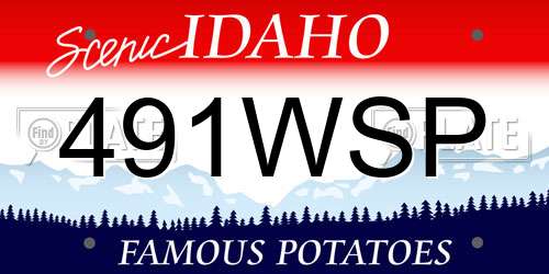 491WSP Idaho License Plate