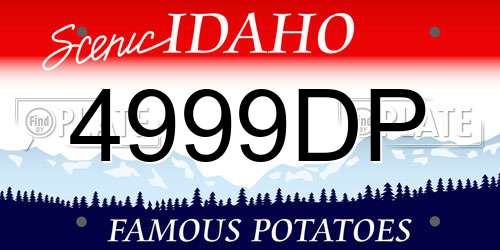 4999DP Idaho License Plate