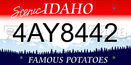 4AY8442 Idaho License Plate