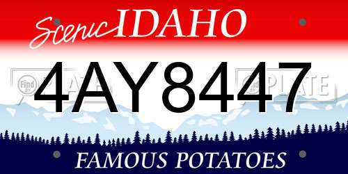 4AY8447 Idaho License Plate
