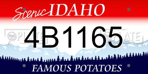 4B1165 Idaho License Plate