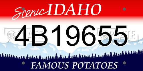4B19655 Idaho License Plate
