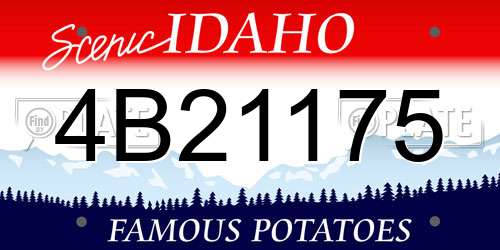 4B21175 Idaho License Plate