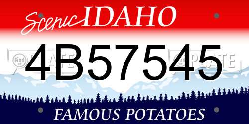 4B57545 Idaho License Plate
