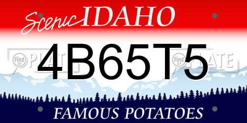 4B65T5 Idaho License Plate