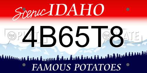 4B65T8 Idaho License Plate