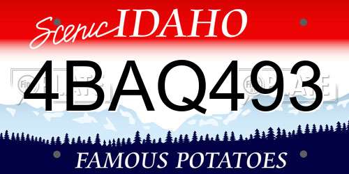 4BAQ493 Idaho License Plate