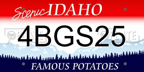 4BGS25 Idaho License Plate