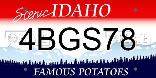 4BGS78 Idaho License Plate
