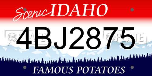 4BJ2875 Idaho License Plate