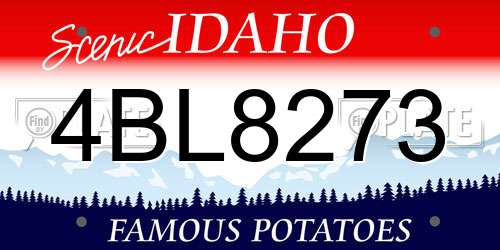 4BL8273 Idaho License Plate
