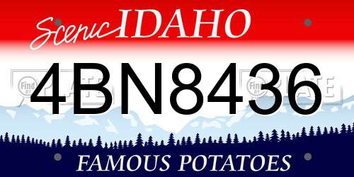 4BN8436 Idaho License Plate