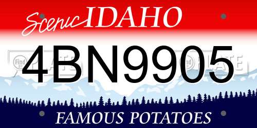 4BN9905 Idaho License Plate