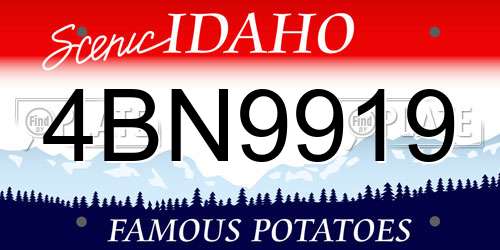 4BN9919 Idaho License Plate